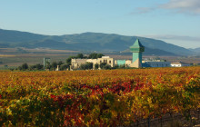 The Best Day Tours496