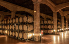 The Best Day Tours12