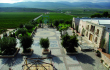 The Best Day Tours498