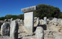 The Best Day Tours499