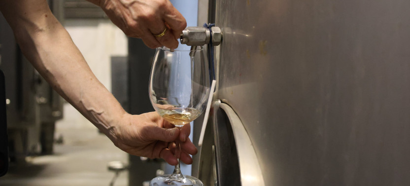 Small Group Évora Historical & Alentejo Wine Tour