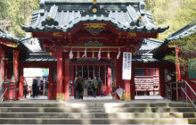 Tuyi Group Japan Co., Ltd.4