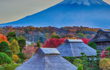 Tuyi Group Japan Co., Ltd.10