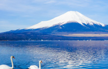 Tuyi Group Japan Co., Ltd.11