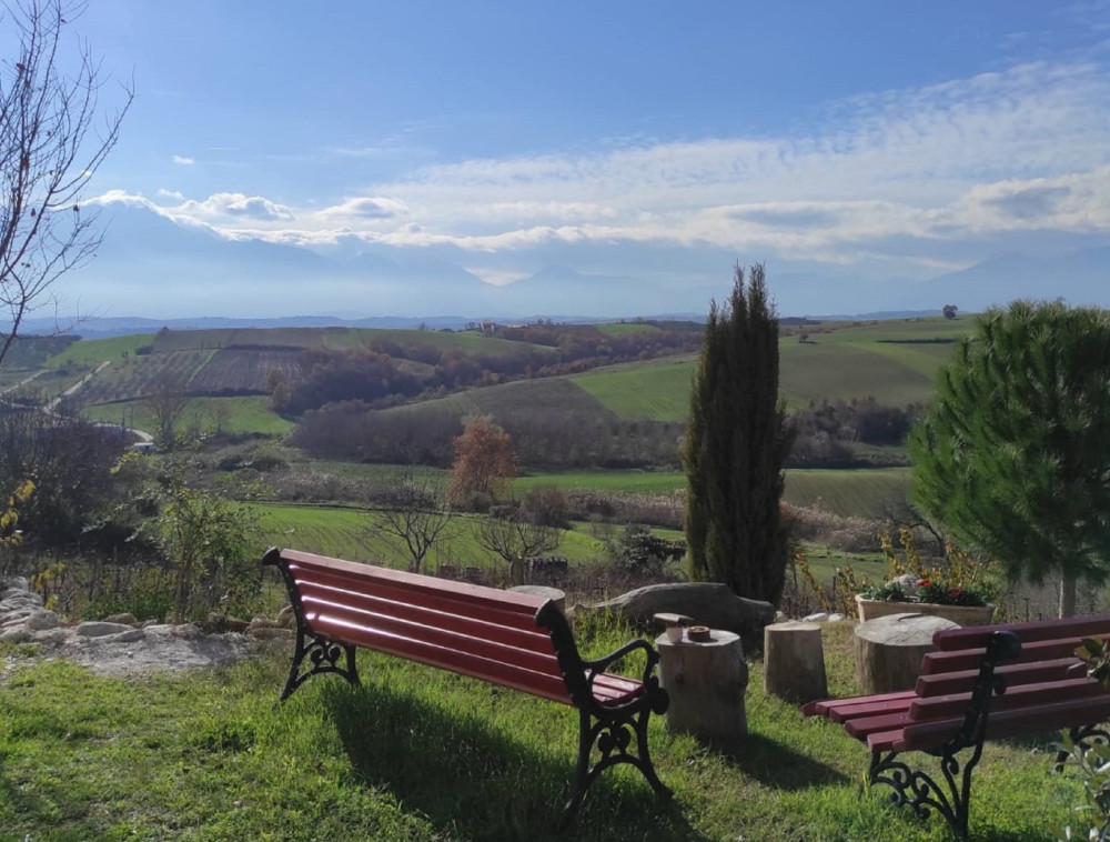 Small Group Tour - Dion’s Ancient Treasures & Wine