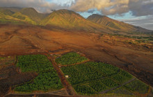 Maui Chocolate Tour1