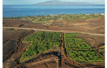 Maui Chocolate Tour3
