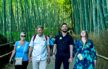 LIMON Tours3