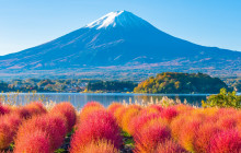 Tuyi Group Japan Co., Ltd.37