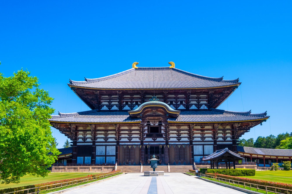 Kyoto and Nara Tour: Great Buddha, Deer, and Temples from Kyoto w/o Lunch