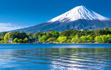 LIMON Tours1