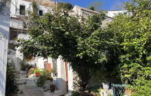 Athens Walking Tours3