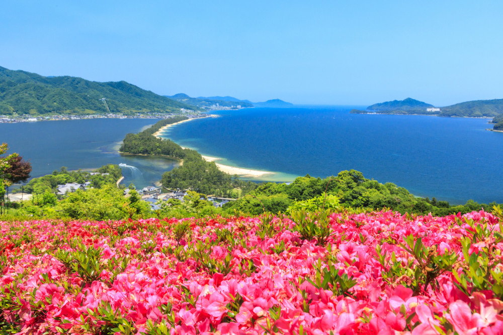 Amanohashidate Sightseeing and Ine Bay One Day Tour w/ Shabu Shabu Lunch