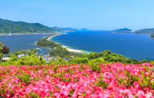 LIMON Tours2