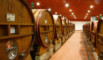 A picture of A Culinary Adventure in Siena: Multi-Day Food & Wine Experience