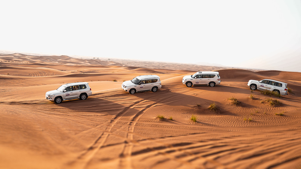 Excursion Point Tourism