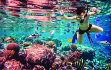 Simba Sea Trips Co. Ltd9