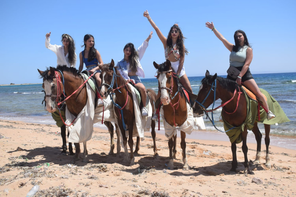 Horse Riding in Nabq Bay Beach with Hotel Transfer Sharm El Sheikh