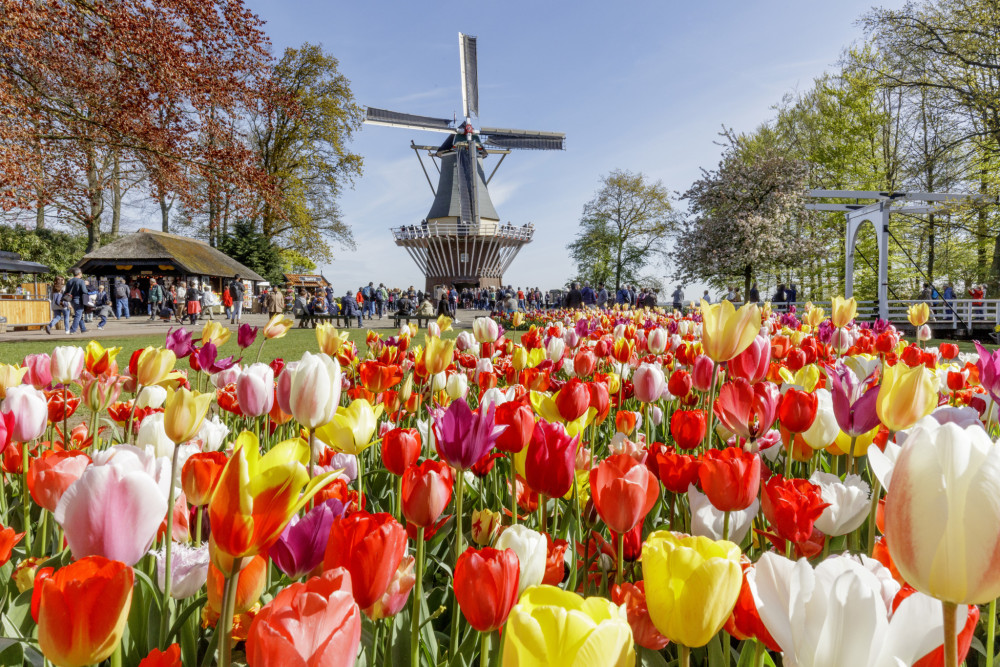 Keukenhof Half Day Tour