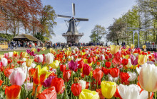 Tour Company NL1