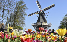 Tour Company NL8