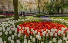 Tour Company NL13