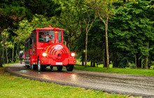 City Sightseeing Worldwide3