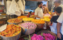 Passport Lifestyles LLP5