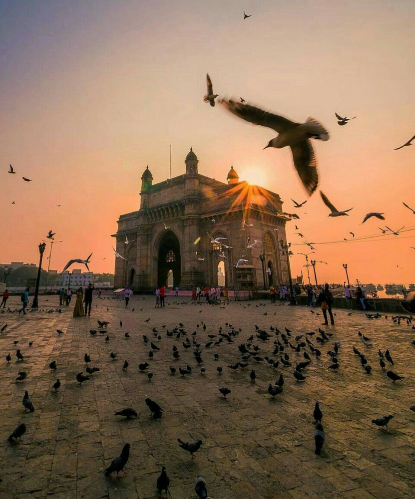 Passport Lifestyles LLP