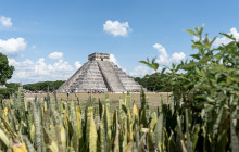 AMIGO TOURS3