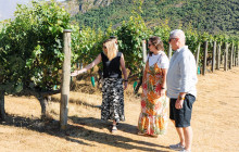 Appellation Wine Tours5