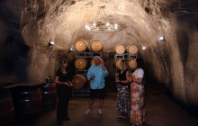 Appellation Wine Tours6