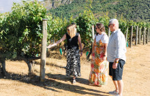 Appellation Wine Tours2