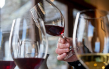 Appellation Wine Tours5