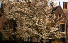 Cambridge Alumni Tours3