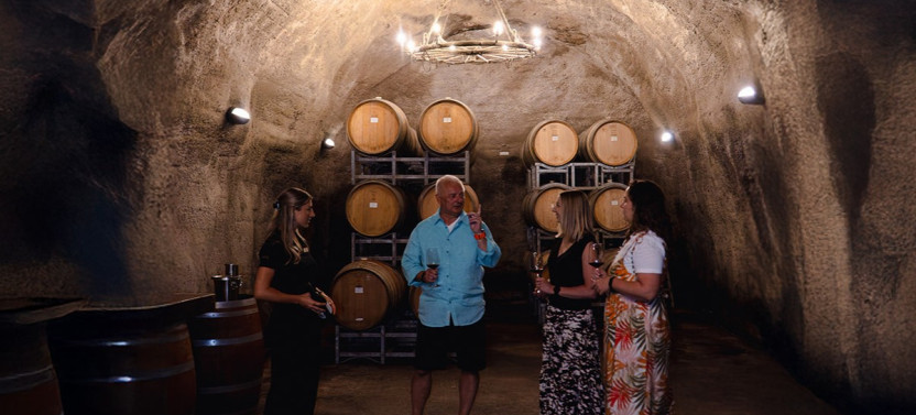 Zip & Sip - Zipline and Wine Tour