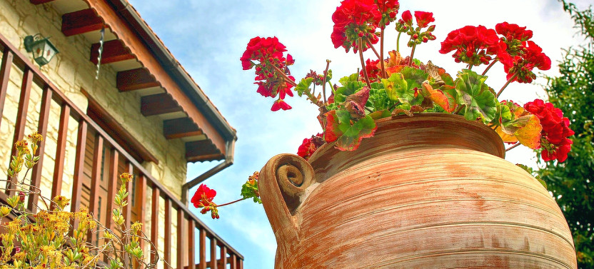 Shore Excursion Troodos Mountains, Villages & Wine from Limassol