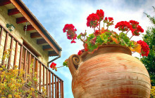 EOS TOURS (Cyprus)2