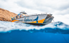 Pacific Whale Foundation6