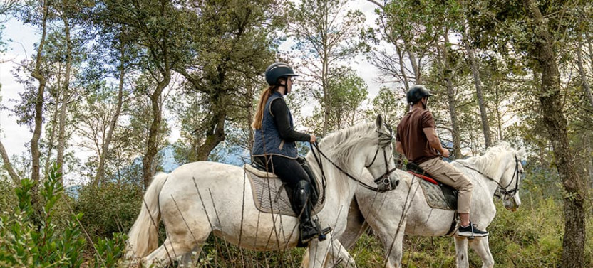 Private Tour from Barcelona: Horseback Tour in Montserrat National Park