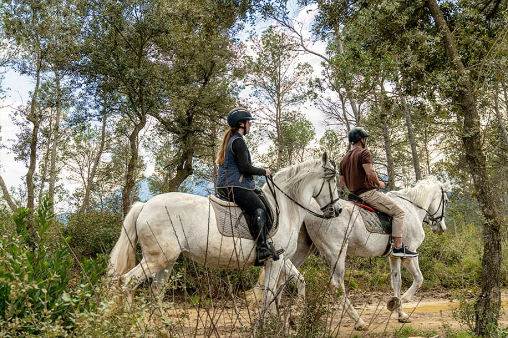 Private Tour from Barcelona: Horseback Tour in Montserrat National Park
