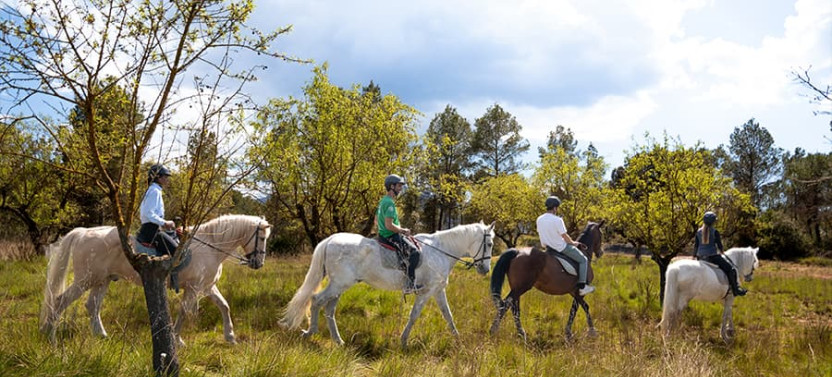 Private Tour from Barcelona: Hiking and Horse Riding Trip in Montserrat, photo 5 of 10