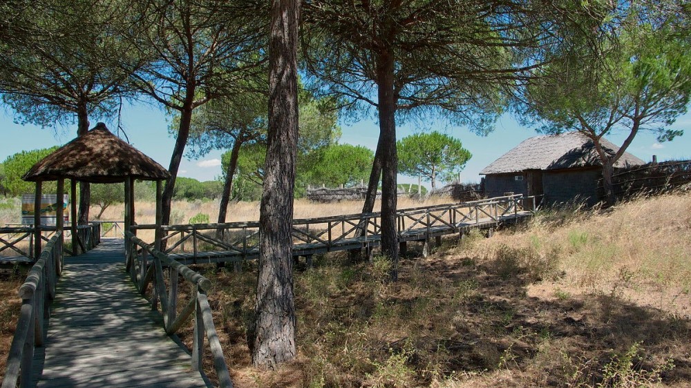 Doñana National Park