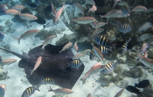 Acquarius Sea Tours13