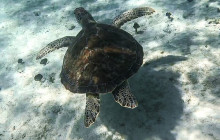 Acquarius Sea Tours17