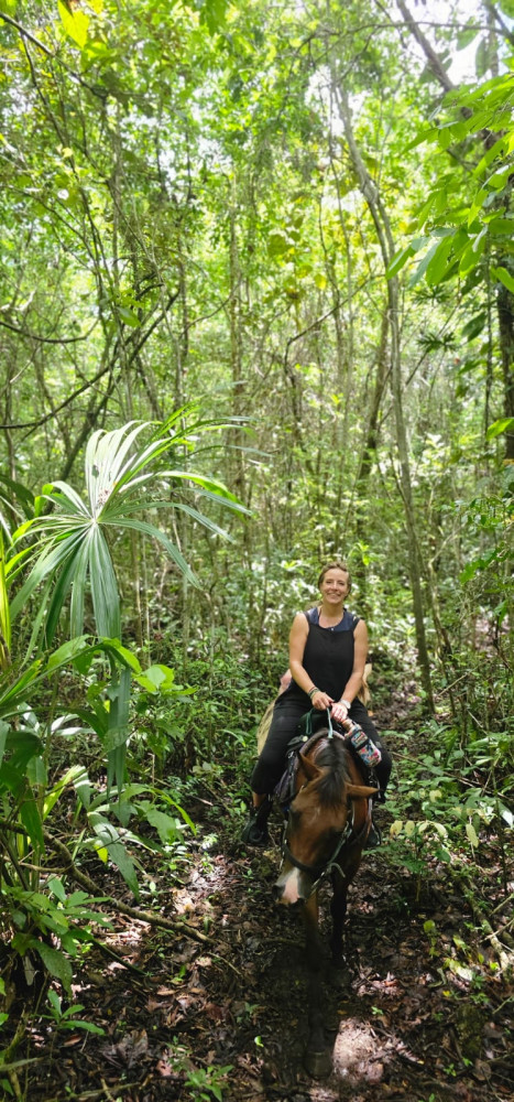Small Group: Jungle Horseback & Cave Tube from Belize City