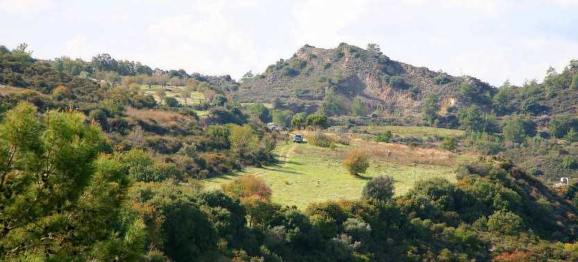 Shore Excursion: Olive Farm, Lefkara & Limassol