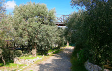 EOS TOURS (Cyprus)4