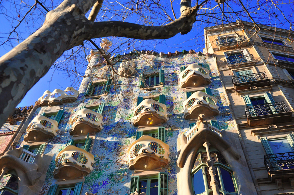 Small Group Casa Batlló and Sagrada Família Combo Tour