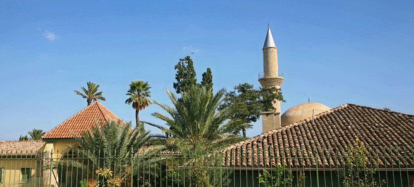 Larnaca & Divided Nicosia Sightseeing Tour from Paphos